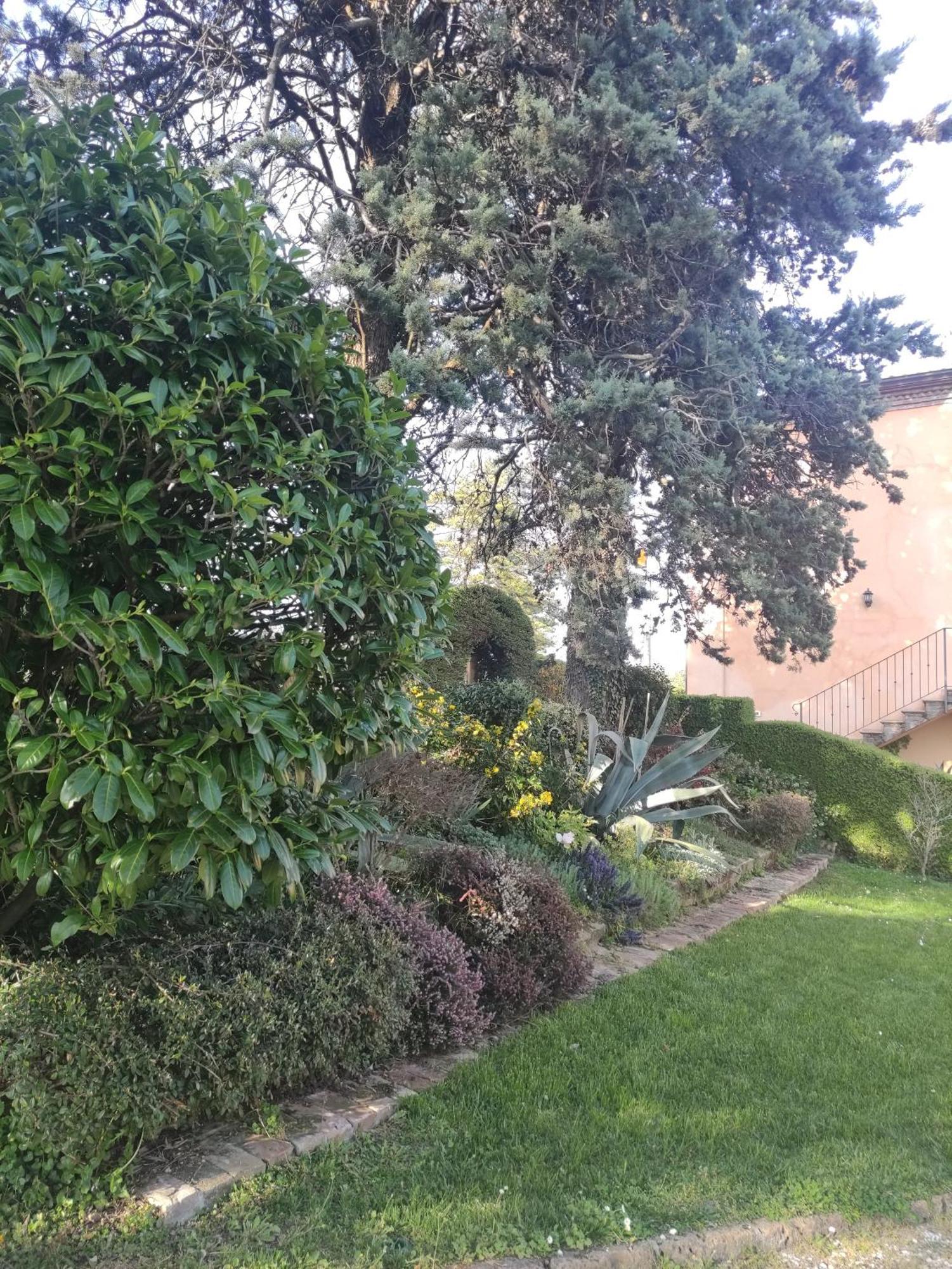 La Pergola Bed & Breakfast Becedasco Eksteriør bilde